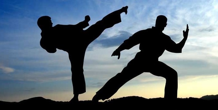 Why Martial Arts Bring The Best in You?